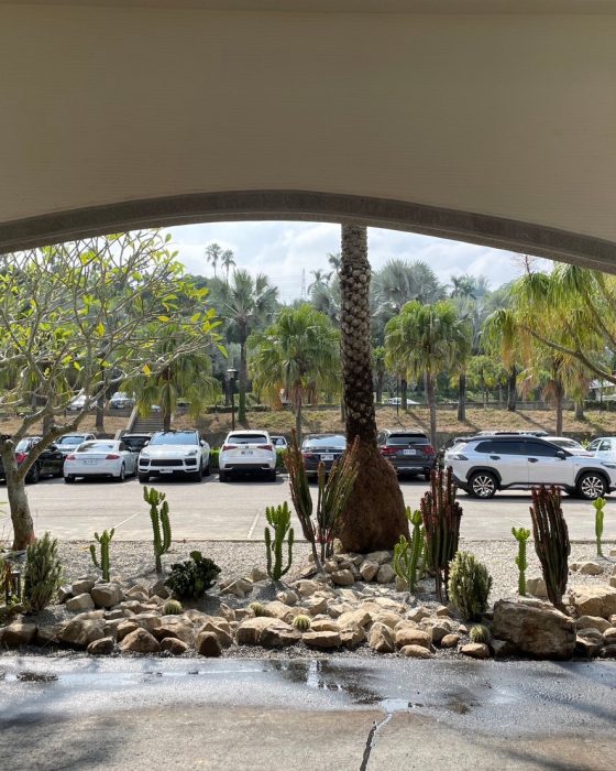LINE_ALBUM_20231118_231118_196