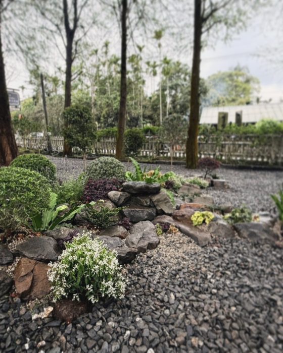 LINE_ALBUM_南投魚池 - 專案造景_250410_2