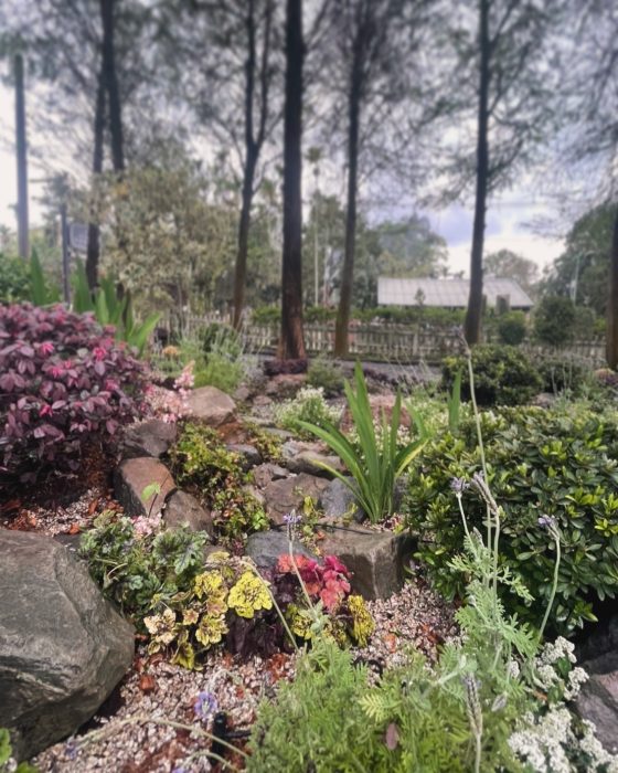 LINE_ALBUM_南投魚池 - 專案造景_250410_3