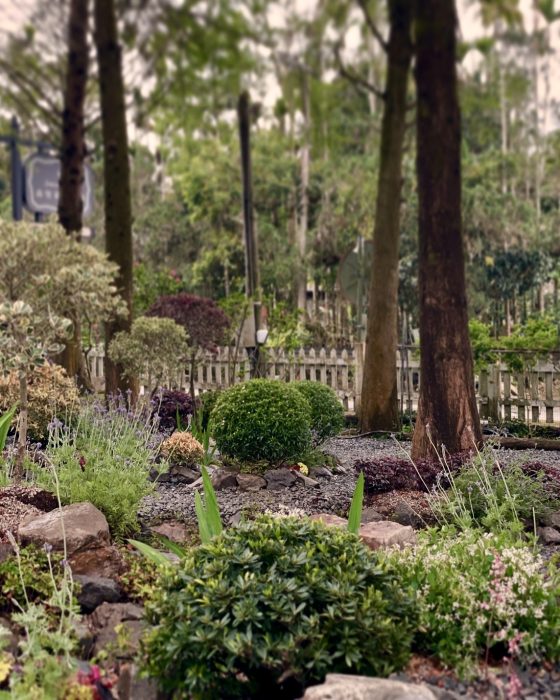 LINE_ALBUM_南投魚池 - 專案造景_250410_5