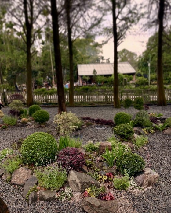 LINE_ALBUM_南投魚池 - 專案造景_250410_6