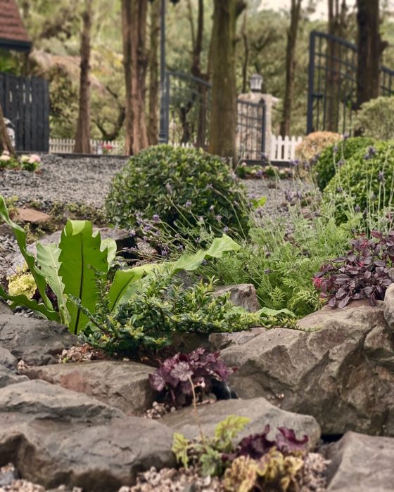 LINE_ALBUM_南投魚池 - 專案造景_250410_7