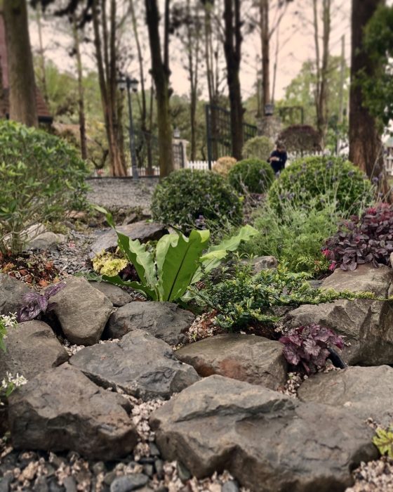 LINE_ALBUM_南投魚池 - 專案造景_250410_8