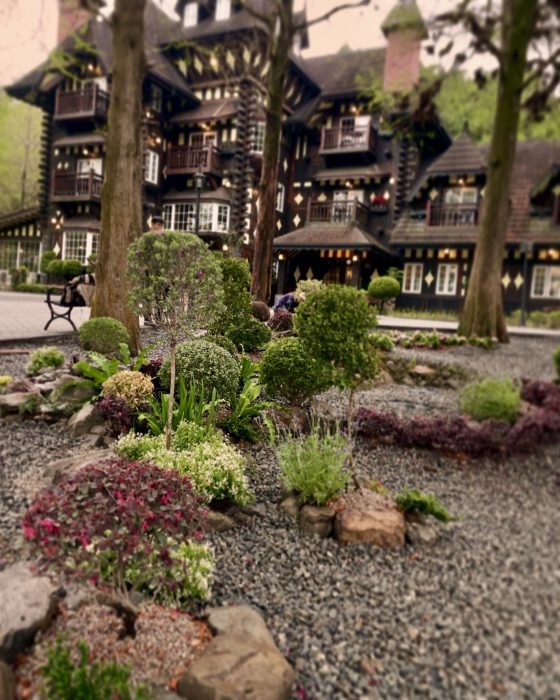 LINE_ALBUM_南投魚池 - 專案造景_250410_9