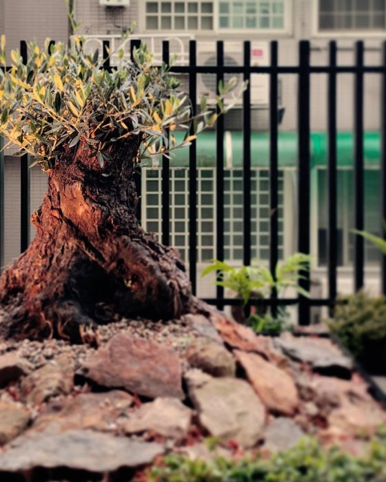 LINE_ALBUM_台北內湖-輕植方案-一方園_250410_4