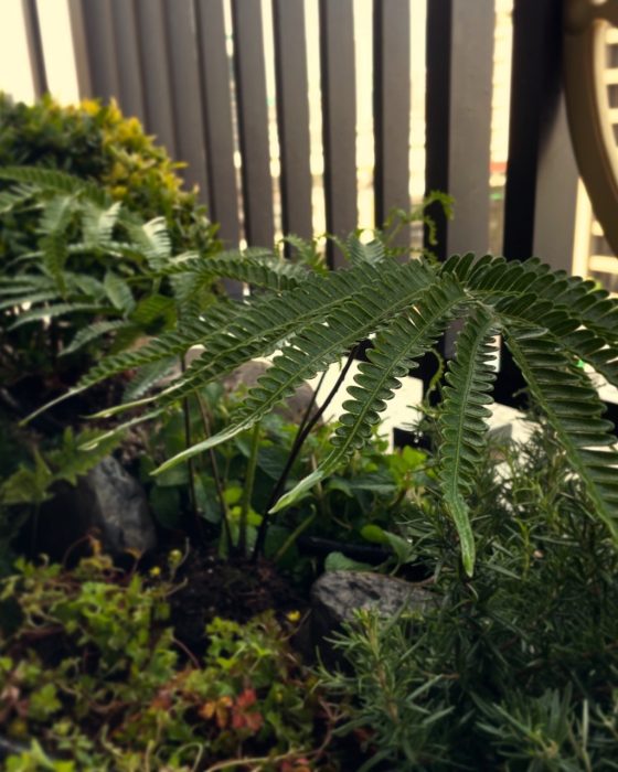 LINE_ALBUM_台北北投-輕植方案-一抹綠_250410_2