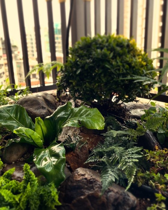 LINE_ALBUM_台北北投-輕植方案-一抹綠_250410_3