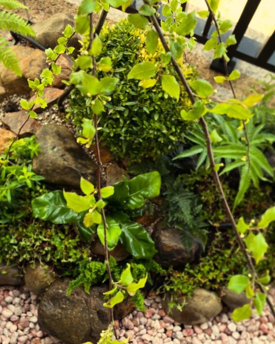 LINE_ALBUM_台北北投-輕植方案-一抹綠_250410_4