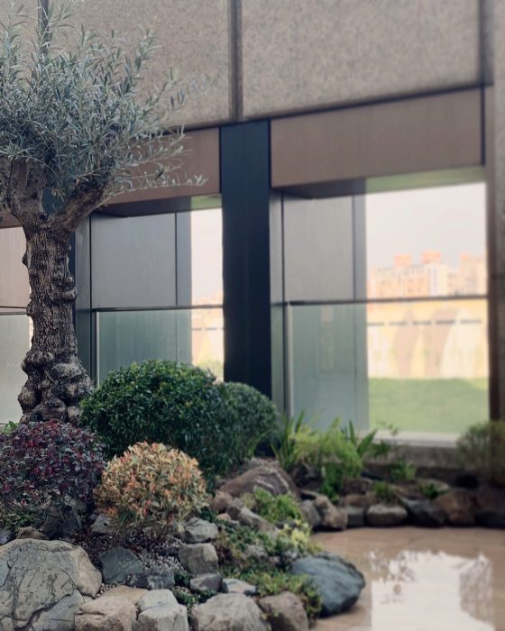 LINE_ALBUM_新北林口-輕植方案-一縷山_250410_5