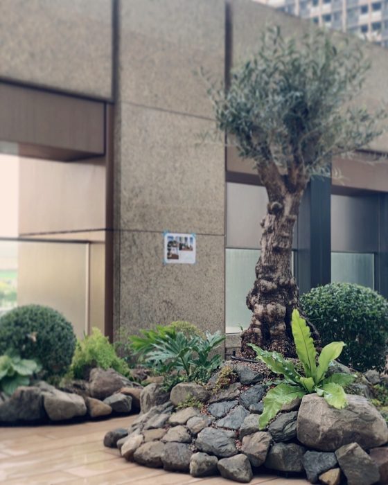 LINE_ALBUM_新北林口-輕植方案-一縷山_250410_6