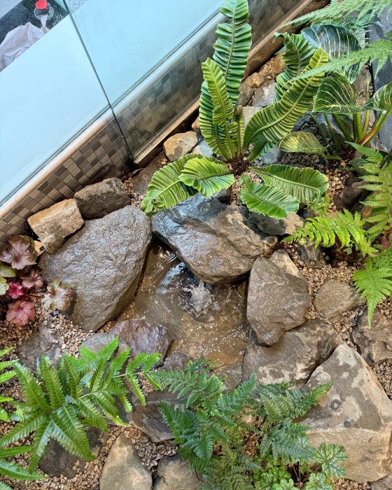LINE_ALBUM_麗緻牙醫新素材_250725_5