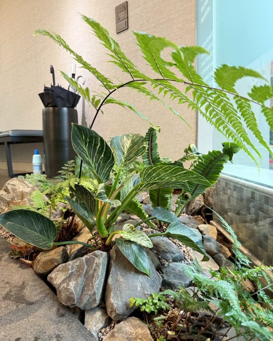 LINE_ALBUM_麗緻牙醫新素材_250725_9